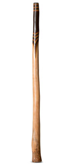 Jesse Lethbridge Didgeridoo (JL165)